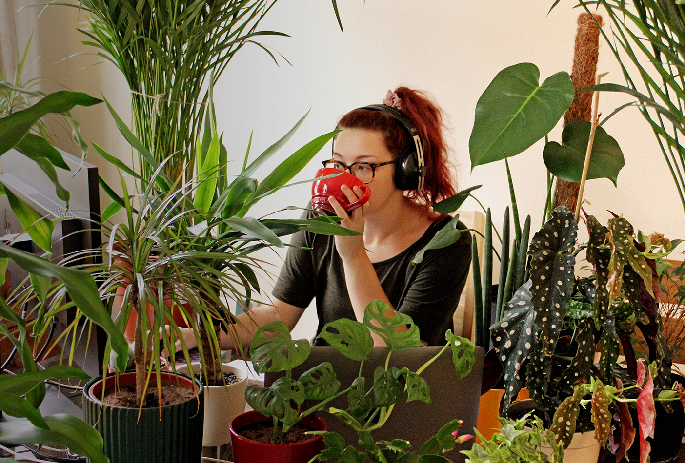 a member of the OLIVER team working from home a member of the OLIVER team working from home